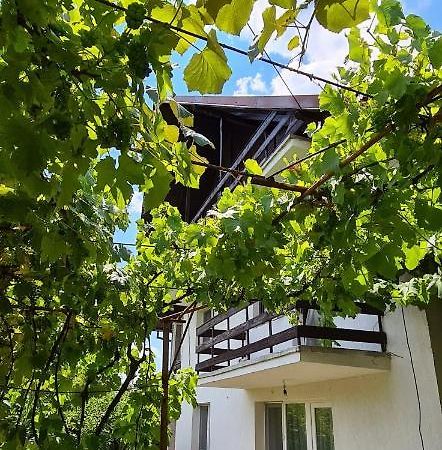 Cazare Vila Maria Appartement Curtea de Argeş Buitenkant foto