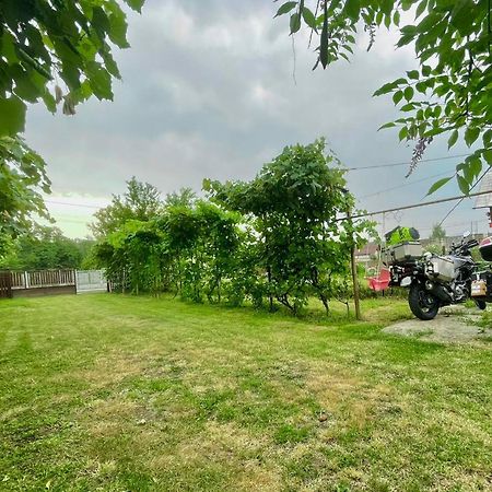 Cazare Vila Maria Appartement Curtea de Argeş Buitenkant foto
