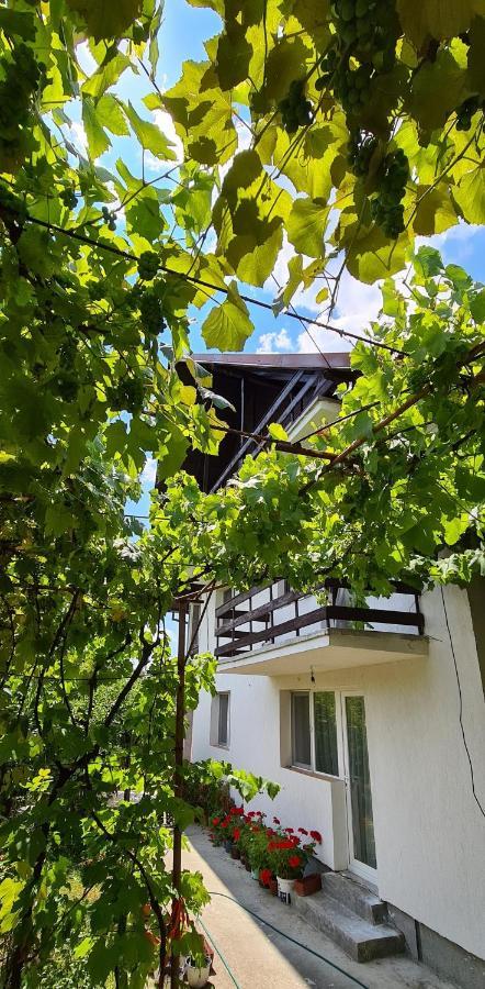 Cazare Vila Maria Appartement Curtea de Argeş Buitenkant foto