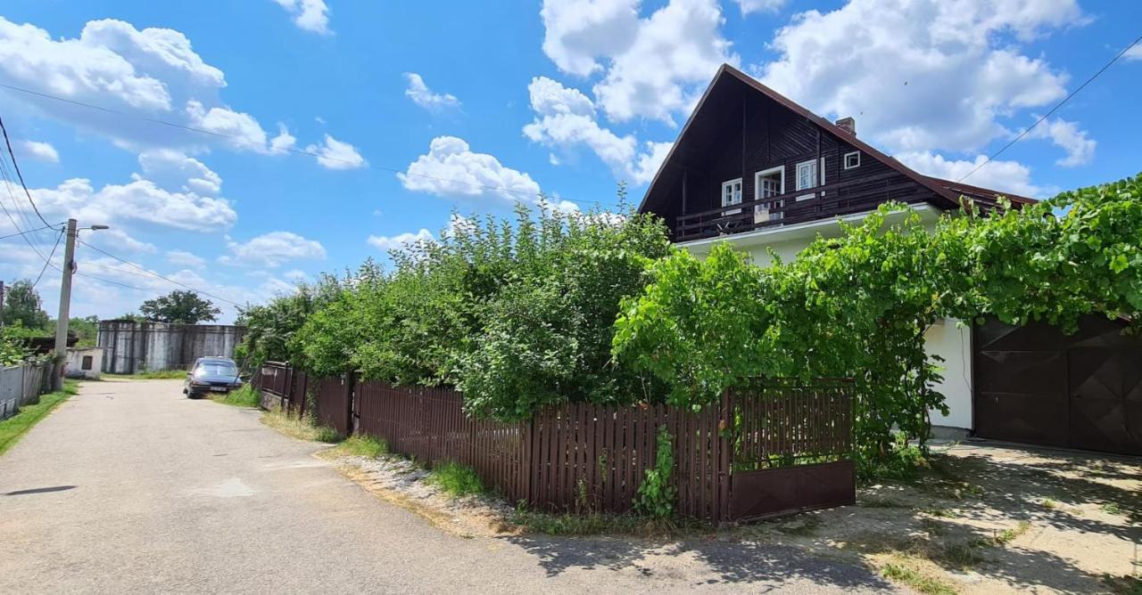 Cazare Vila Maria Appartement Curtea de Argeş Buitenkant foto