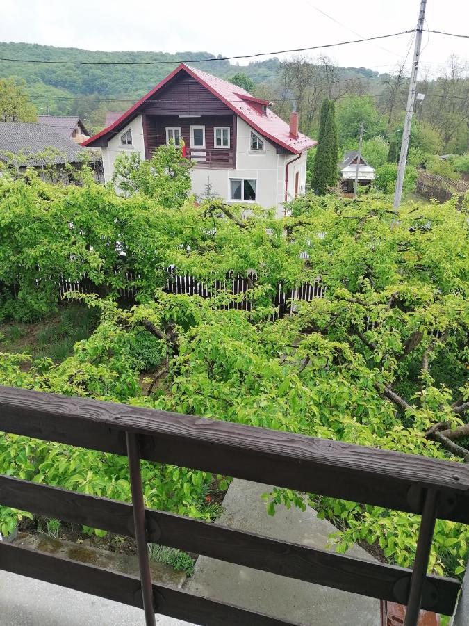 Cazare Vila Maria Appartement Curtea de Argeş Buitenkant foto