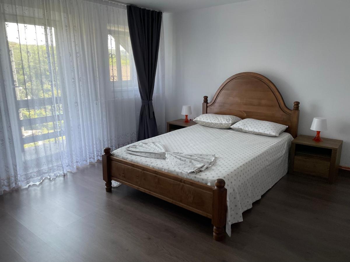 Cazare Vila Maria Appartement Curtea de Argeş Buitenkant foto